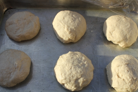 Balls of dough rising under plastic wrap